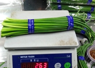 55cmの長い中国のニンニクの成長の芽