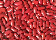 イエメンに輸出された赤インゲン豆