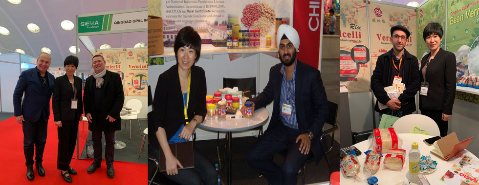 インゲンのバーミセリ