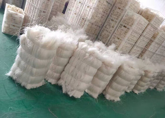 産業用緑豆 ベルミセッリ 中国製・輸出品 - 輸入品・卸売品の卸売品