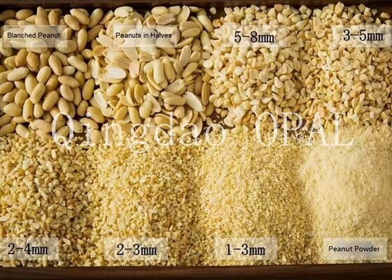 プレミアムブランチピーナッツ・カーネル,HALAL&EUコンパイル,原生皮のないピーナッツ輸入