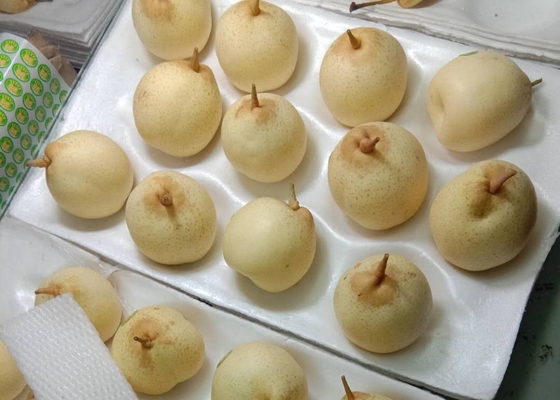 2021新しい穀物の中国のナシ