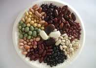 イエメンに輸出された赤インゲン豆