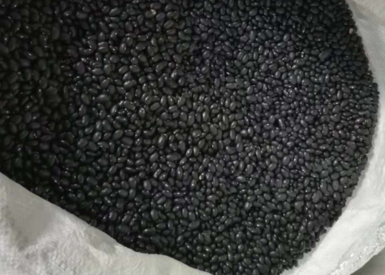 乾燥豆インゲンマメ黒インゲン豆